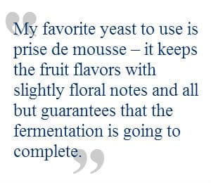 Sparkling yeast quote