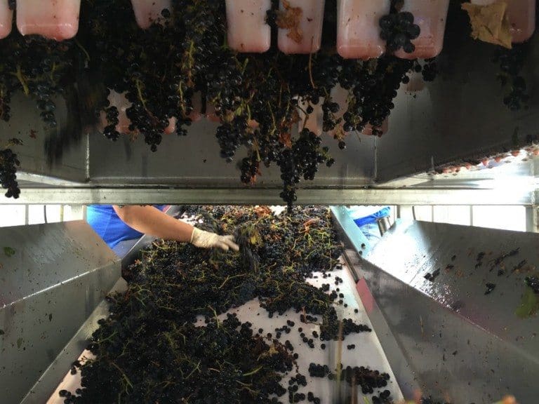 measure and sort 920