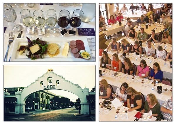 Wine Blogger collage