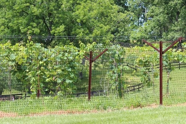 TridentCorp Deer Fence2 (600x400)