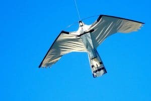 falcon-kite