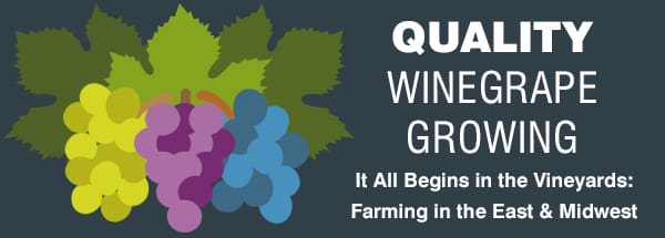 WIneGrowing_Header