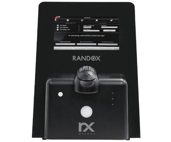 RX misano - Front wide