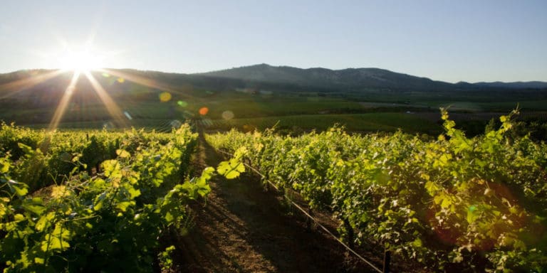 Magic Napa Mtn - Hero 920