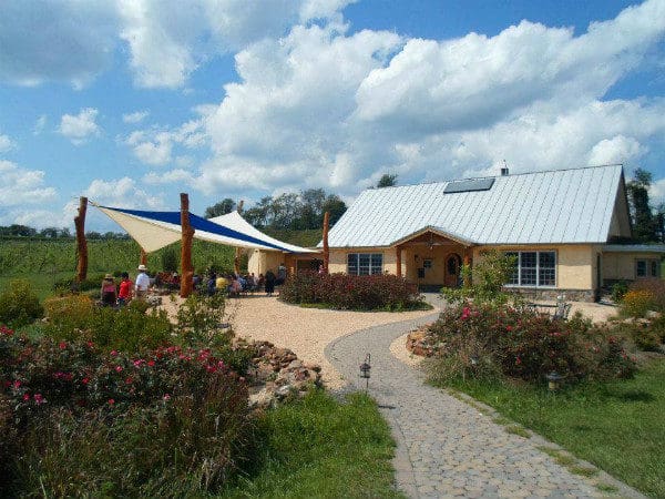 Black Ankle Vineyards