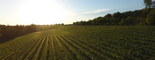 Allegro Winery