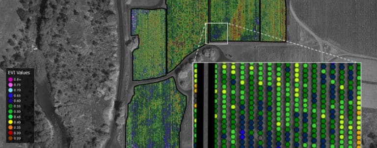Aerial Diagnostic Maps EE 920x360