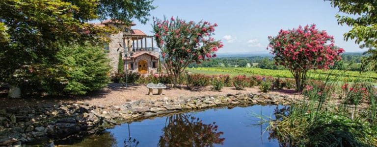 Raffaldini Vineyards 920x360