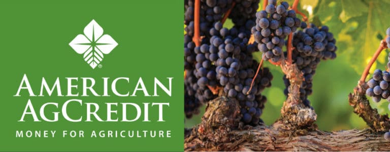 American AgCredit 920