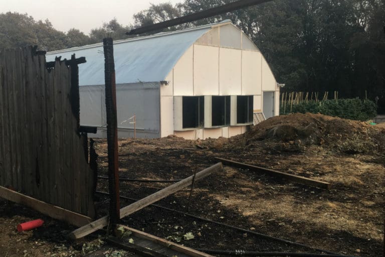 Burnt Fence Cannabis Farm 920
