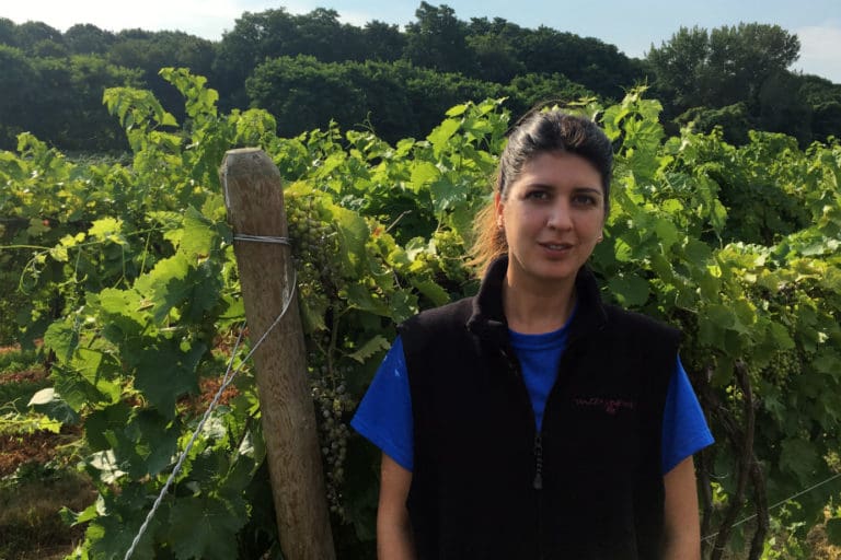 Ana Trigo Mazza Vineyards