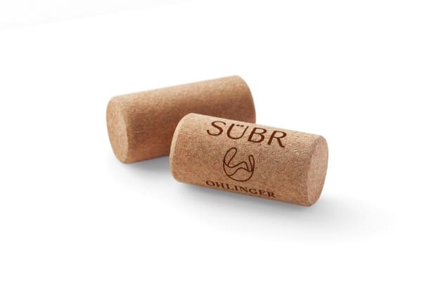 Picture_Ohlinger_SÜBR