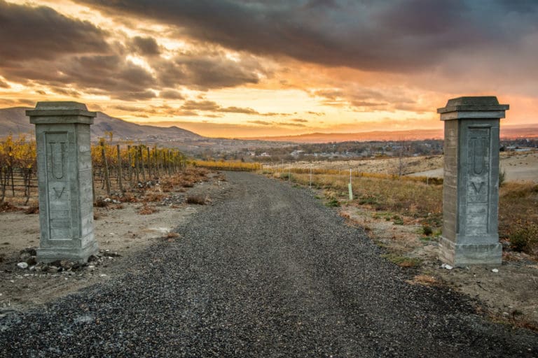 Upchurch Vineyard Columns 920