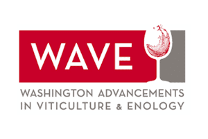 WAVE seminar