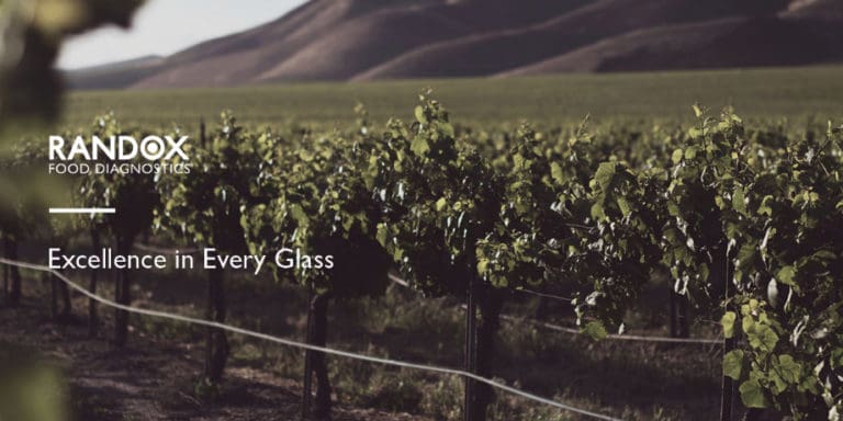 Excellence Every Glass 920
