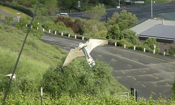 FalconMoving_600