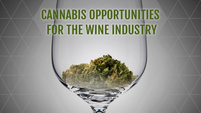 Cannabis Opportunities for Wine
