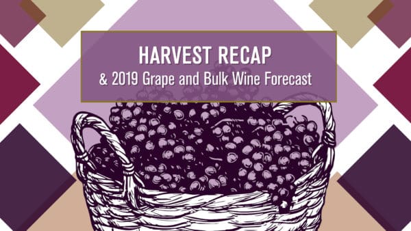 Harvest Recap & 2019 Grape and Bulk Wine Forecast