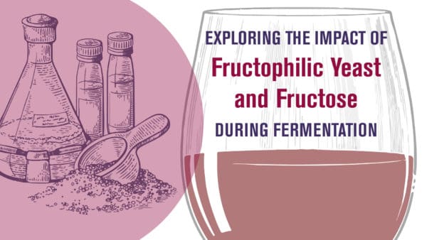Exploring the Impact of Fructophilic Yeast and Fructose During Fermentation