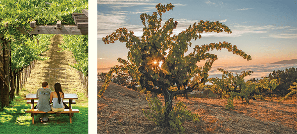 Down to Earth Month 2019