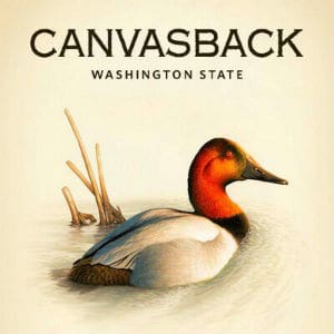 Canvasback Logo