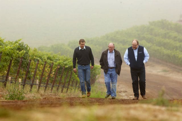 Solomon Hills Vineyard