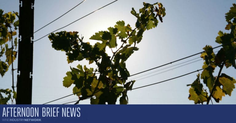 AB Hero Sun Behind Vine