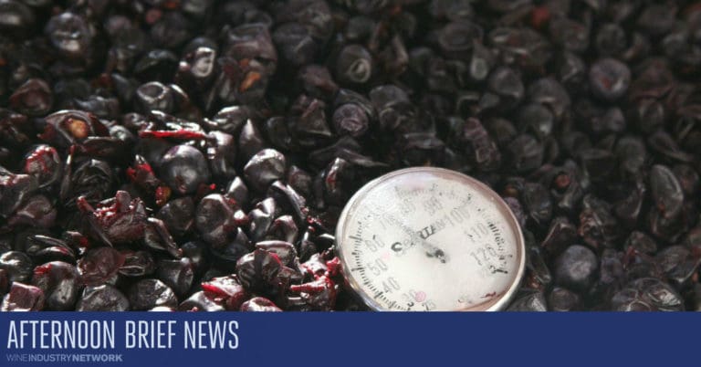 AB Hero Grape Temperature