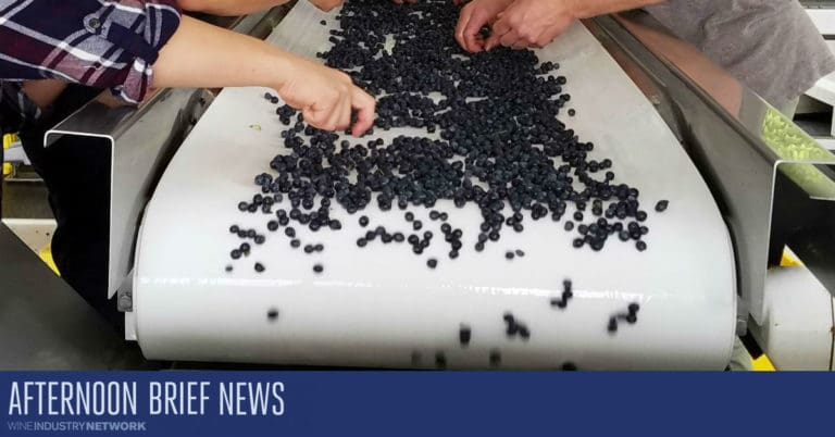 AB Hero Grape Sorting