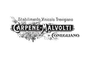 Carpene Malvolti