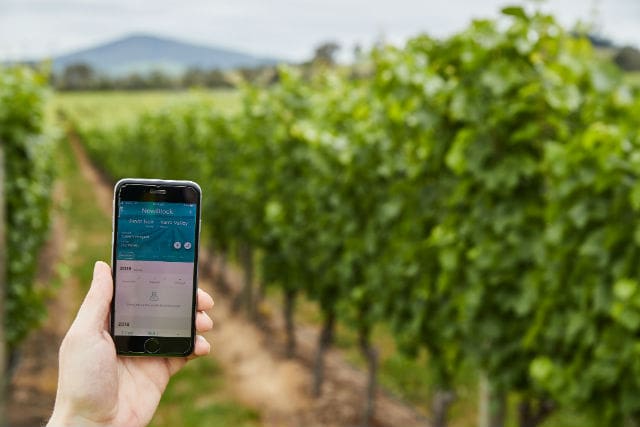 Vintrace Spotlight 1