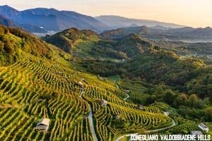 Prosecco Hills 1