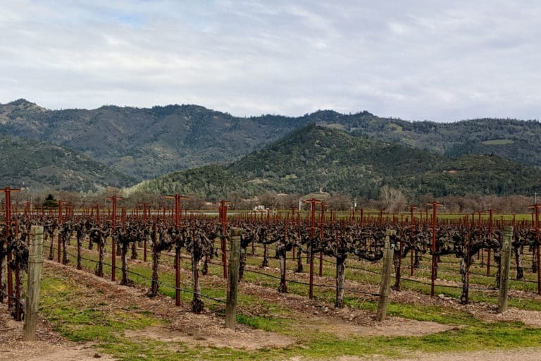 Napa Vines and hills