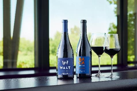 WALT BACA Healdsburg Opening Press Release 2019 (003)