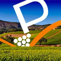 Process2wine_Featuredmage2