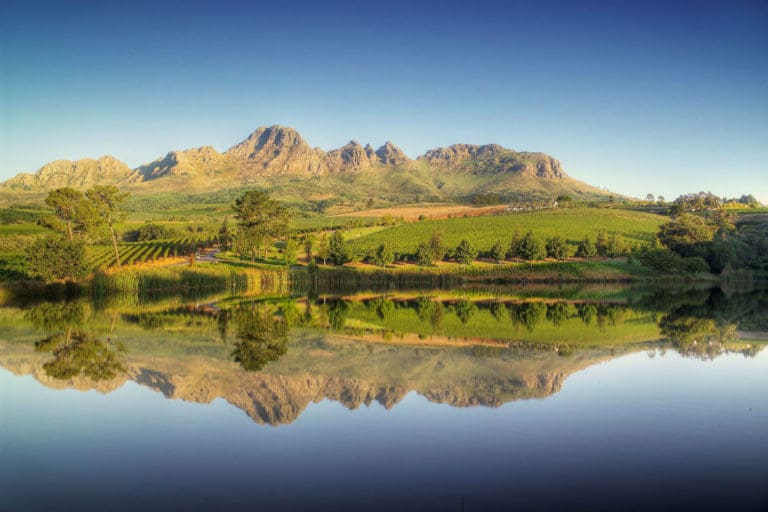 Stellenbosch Wine Routes