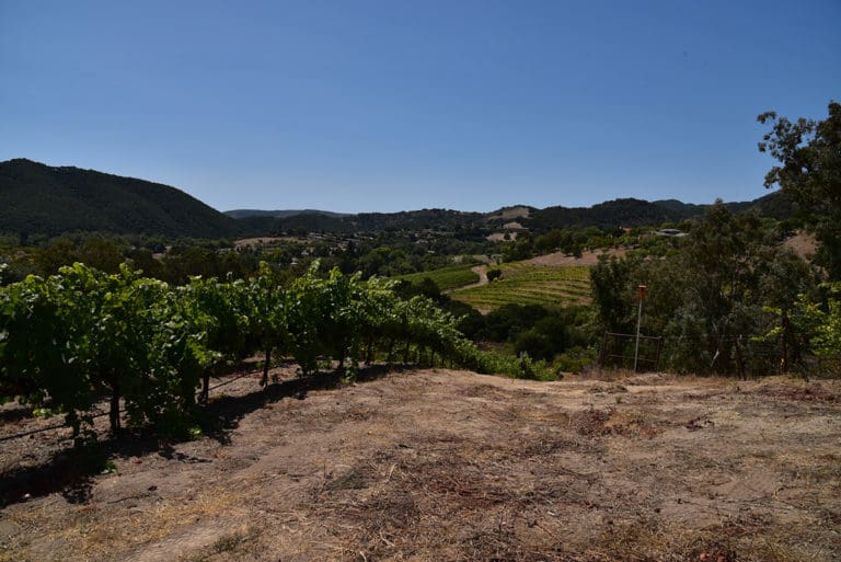SLO wine country