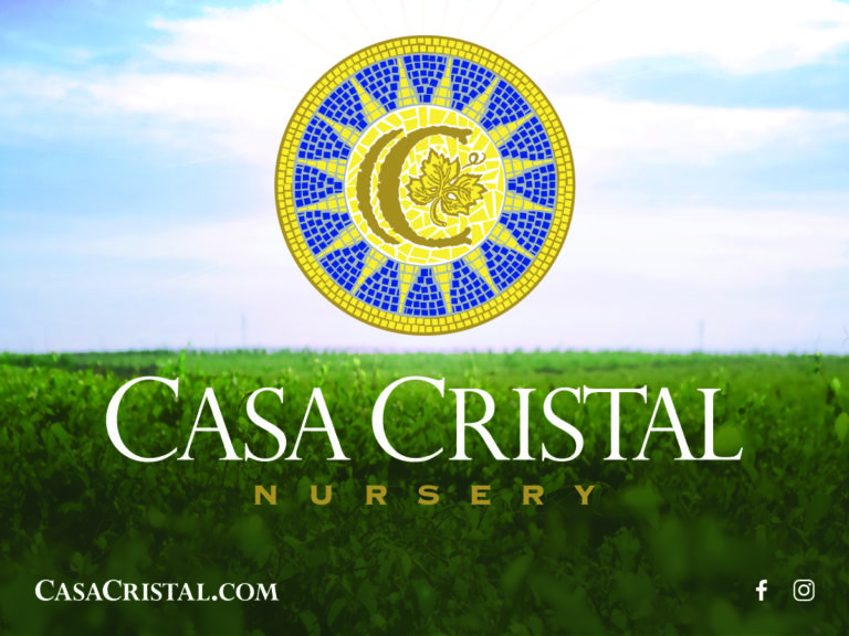 AC6688 Casa Cristal - Email Image - January 2020_v1e-01