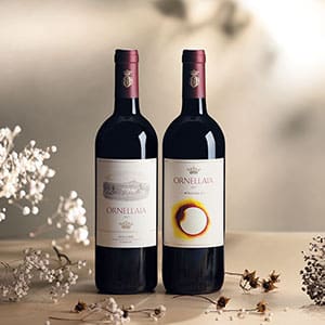 OR17 CLASSIC + SPECIAL LABEL-crop