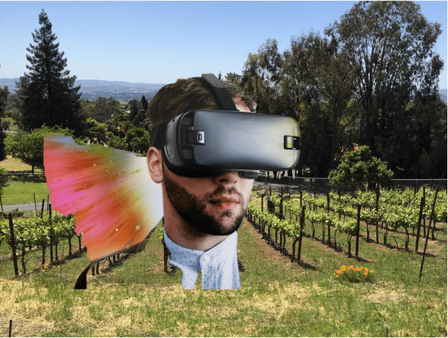 Virtual Vineyard Tour