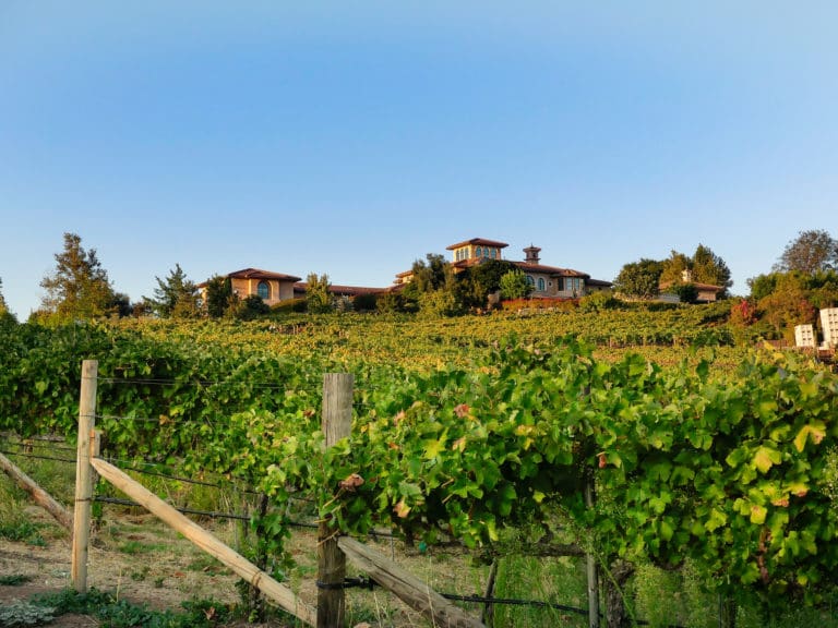 Wise Villa Winery
