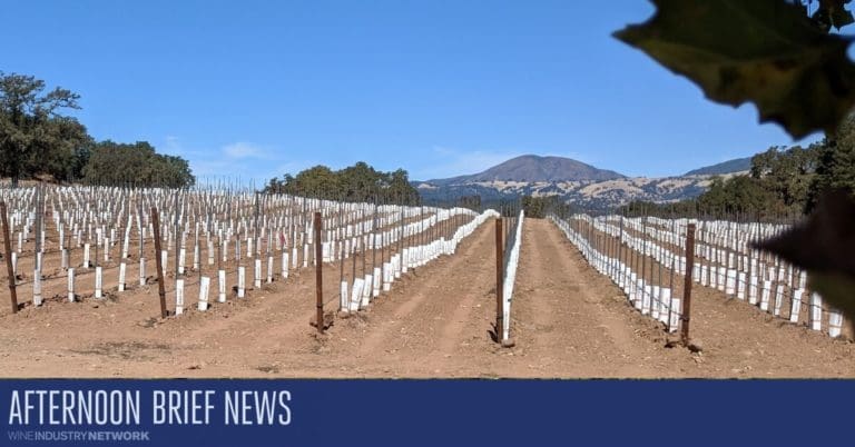 AB Hero New Planting