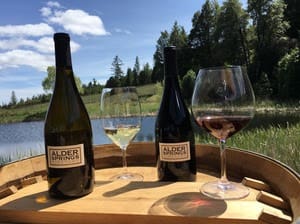 Alder Springs Vineyard