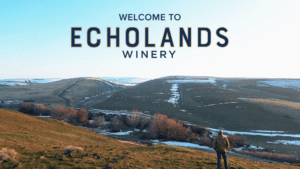 Echolands Poster