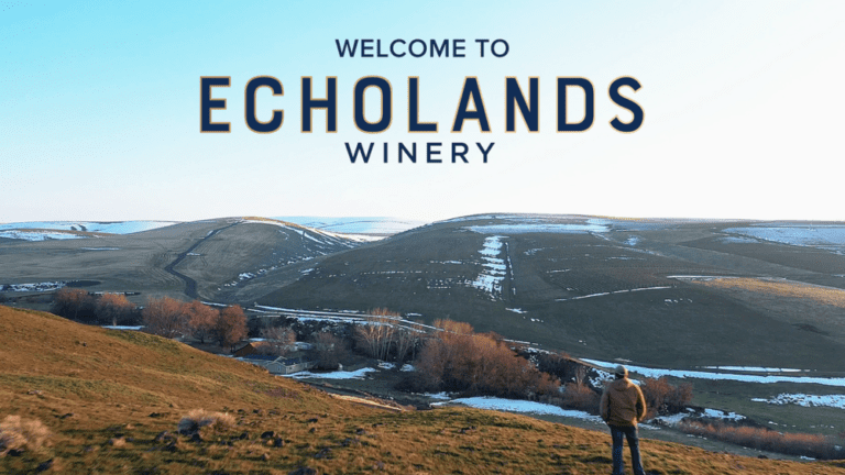 Echolands Poster