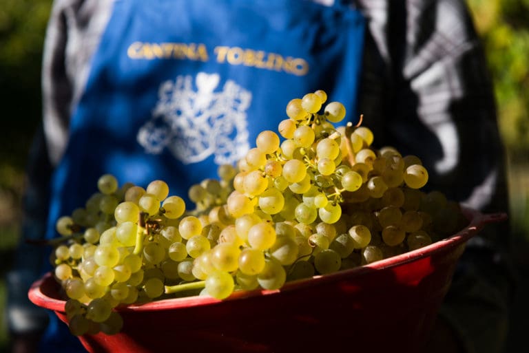 Cantina_Toblino_2016_1797