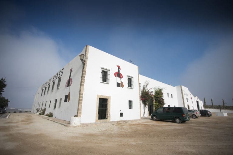 Gonzalez_Byass_Viña_La_Canariera