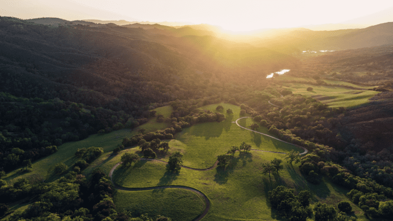 Canossa Events scene