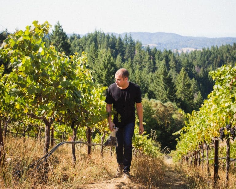 Signal Ridge Vineyard5x4