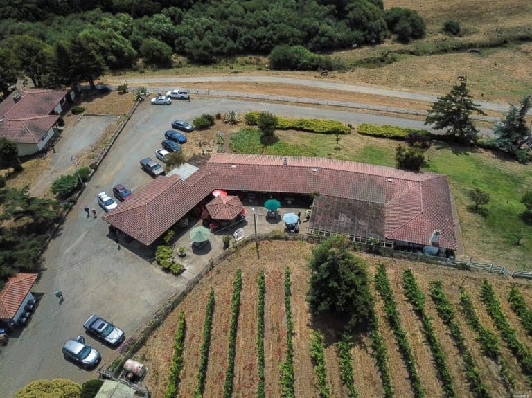 Point Reyes Vineyards